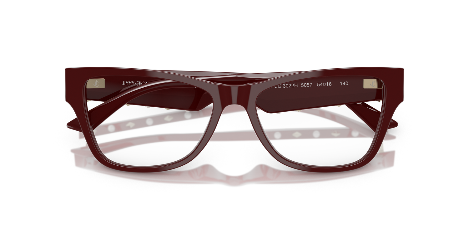 JIMMY CHOO JC3022H 5057 54