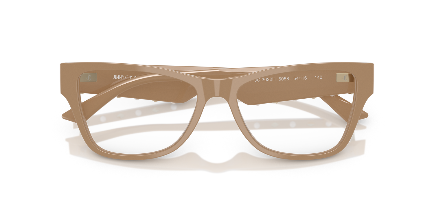 JIMMY CHOO JC3022H 5058 54