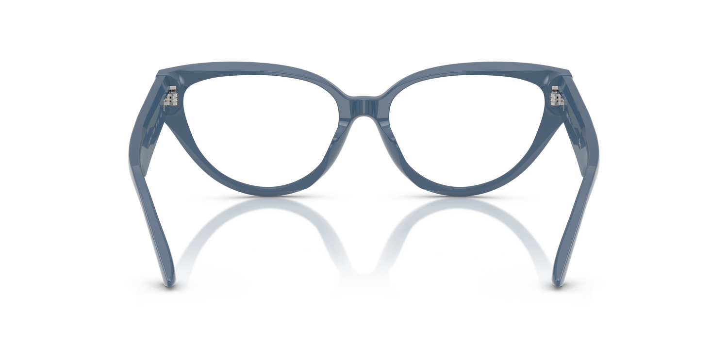 JIMMY CHOO JC3023HU 5020 55