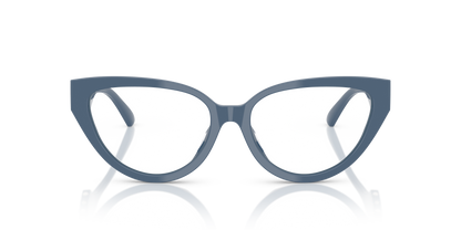 JIMMY CHOO JC3023HU 5020 55