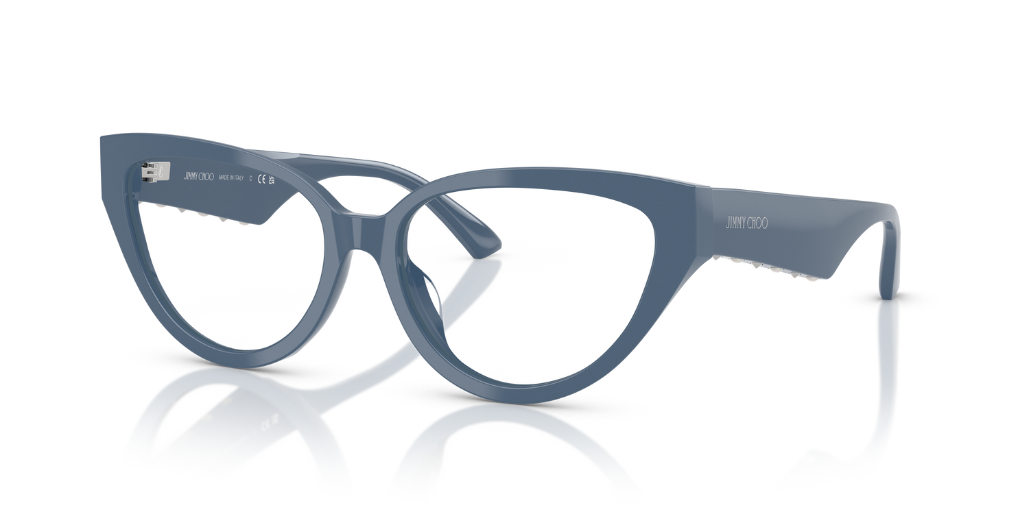 JIMMY CHOO JC3023HU 5020 55