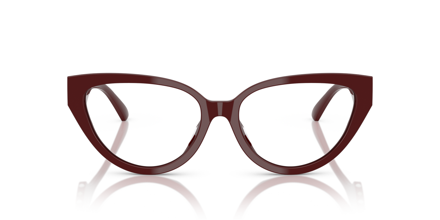 JIMMY CHOO JC3023HU 5057 55