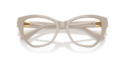 JIMMY CHOO JC3026 5033 53