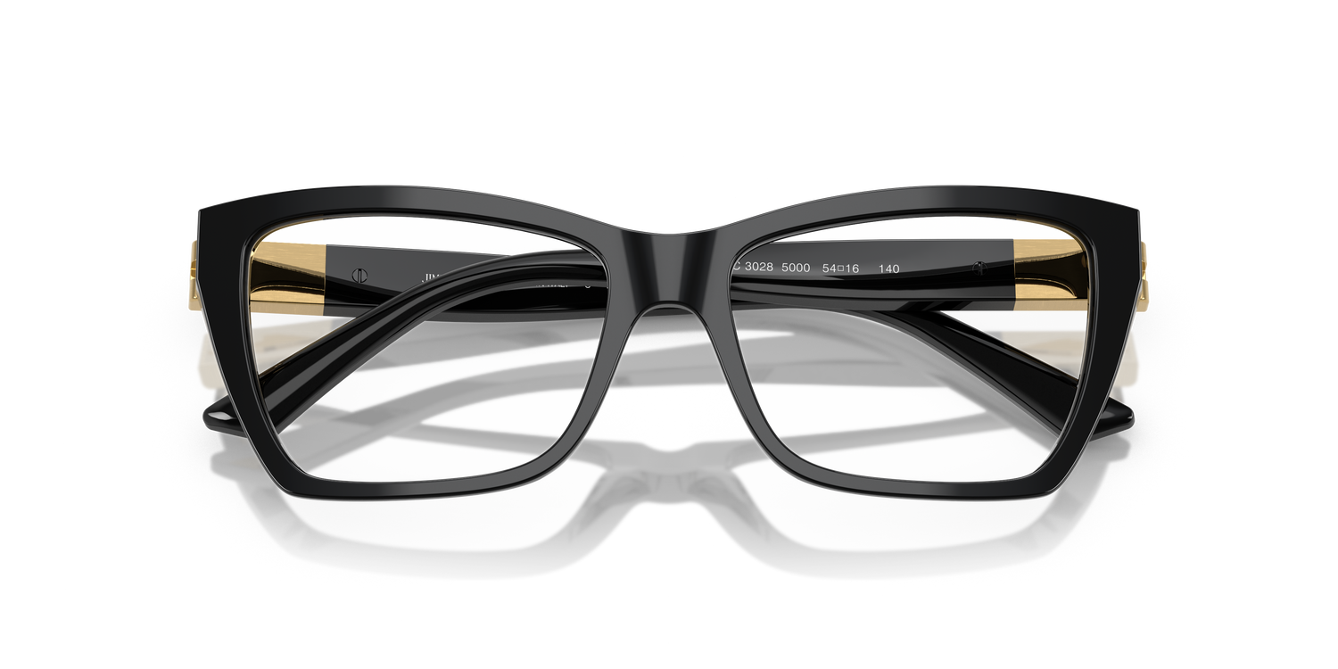 JIMMY CHOO JC3028 5000 54