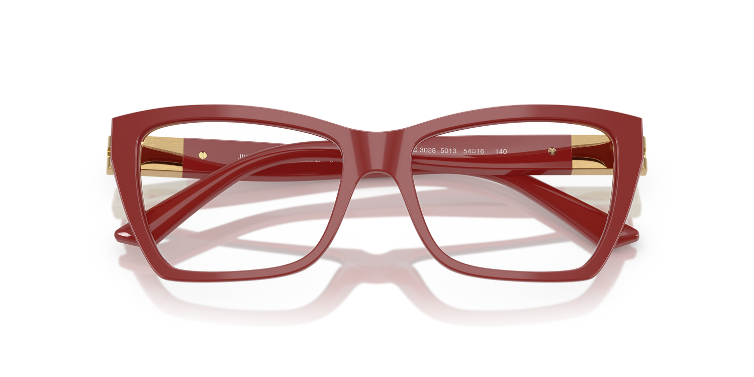 JIMMY CHOO JC3028 5013 52