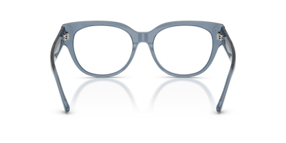 JIMMY CHOO JC3035 5067 51