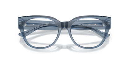 JIMMY CHOO JC3035 5067 53