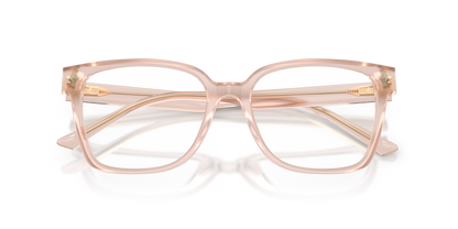 JIMMY CHOO JC3038D 5052 54