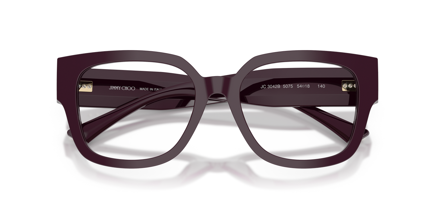 JIMMY CHOO JC3042B 5075 52