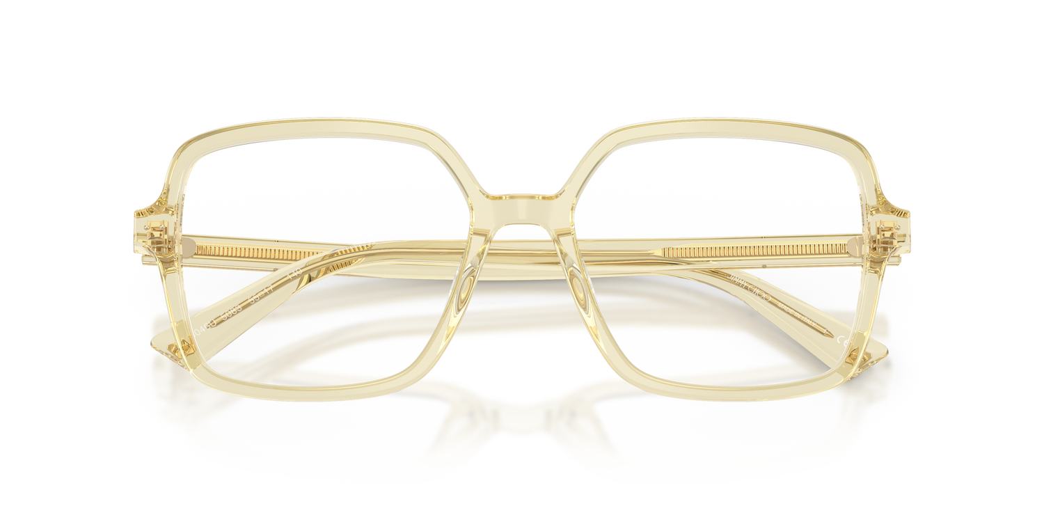 JIMMY CHOO JC3046U 5083 53