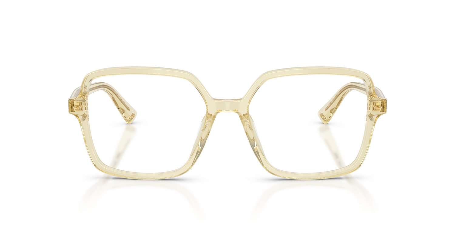 JIMMY CHOO JC3046U 5083 55