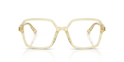 JIMMY CHOO JC3046U 5083 55