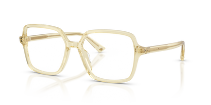 JIMMY CHOO JC3046U 5083 53