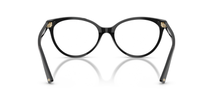 JIMMY CHOO JC3047 5000 55