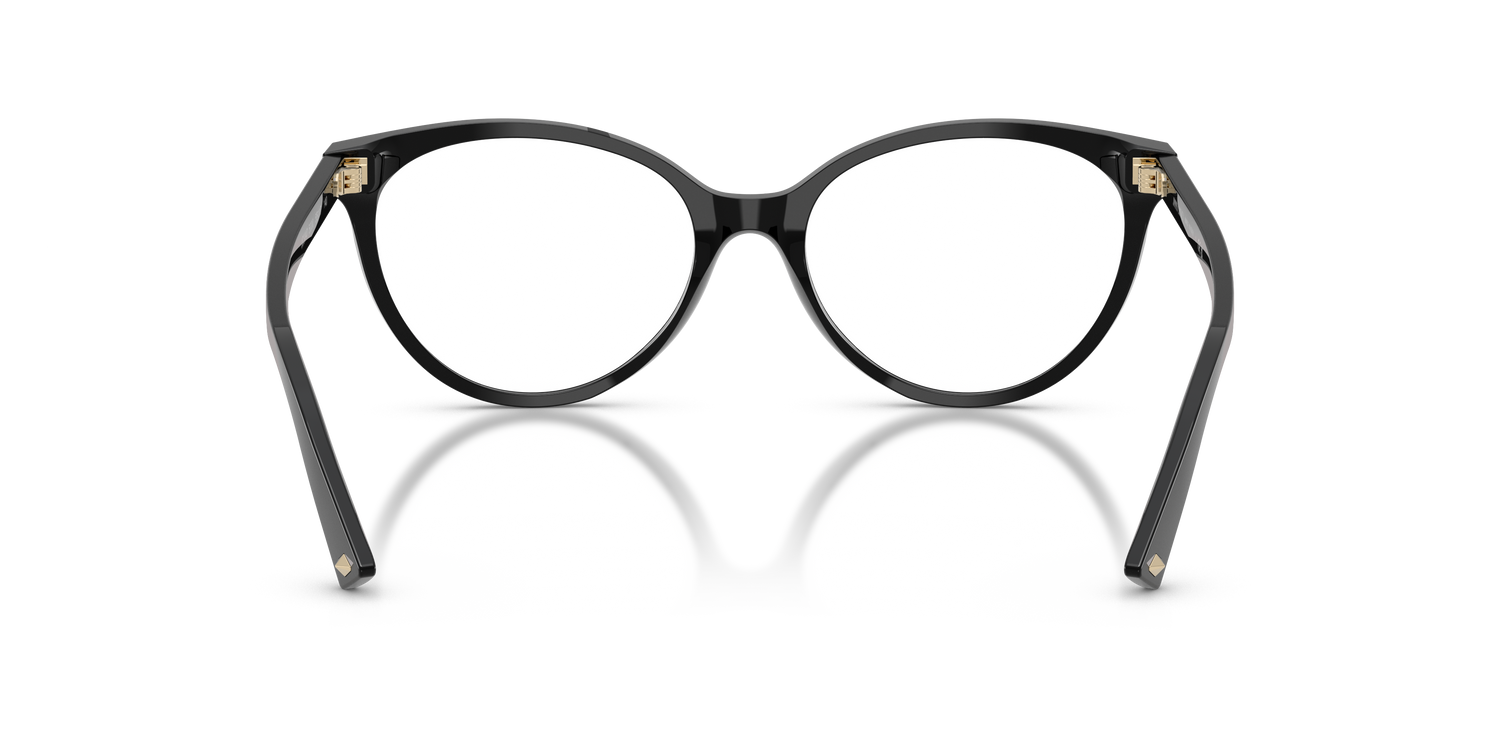 JIMMY CHOO JC3047 5000 49