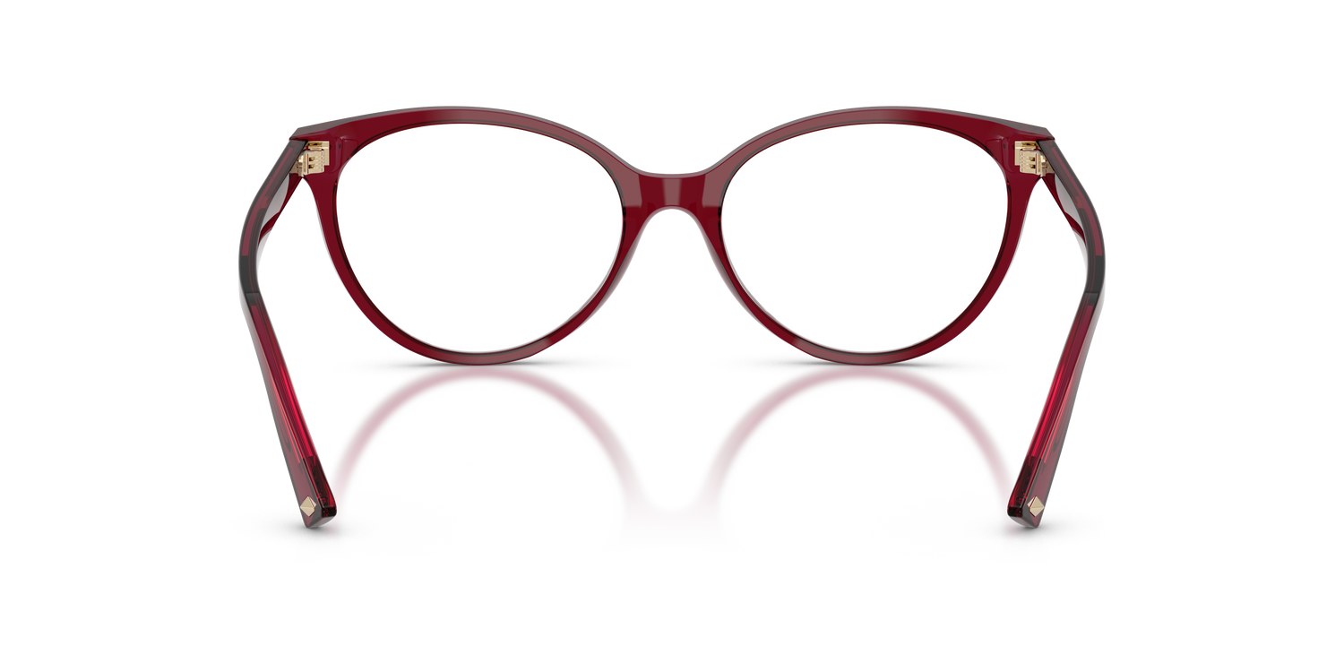 JIMMY CHOO JC3047 5062 49