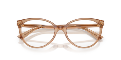 JIMMY CHOO JC3047 5076 52