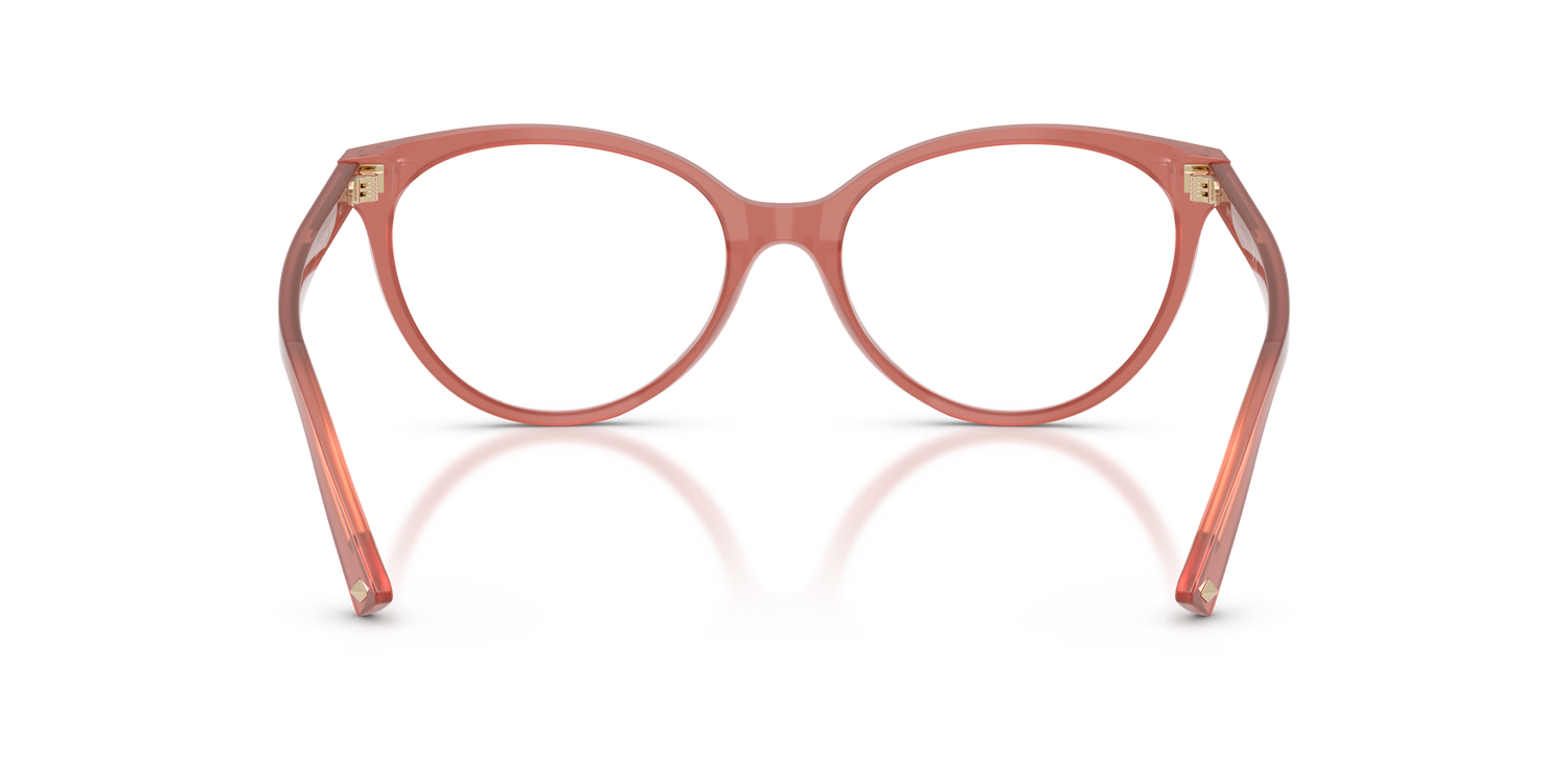 JIMMY CHOO JC3047 5084 49