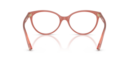 JIMMY CHOO JC3047 5084 49