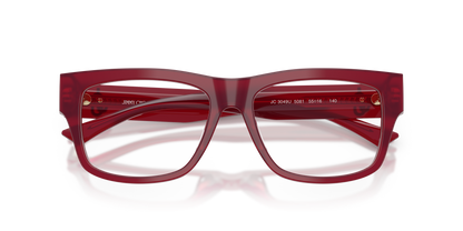 JIMMY CHOO JC3049U 5081 55