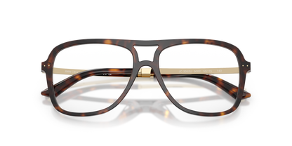 JIMMY CHOO JC3052U 5002 55