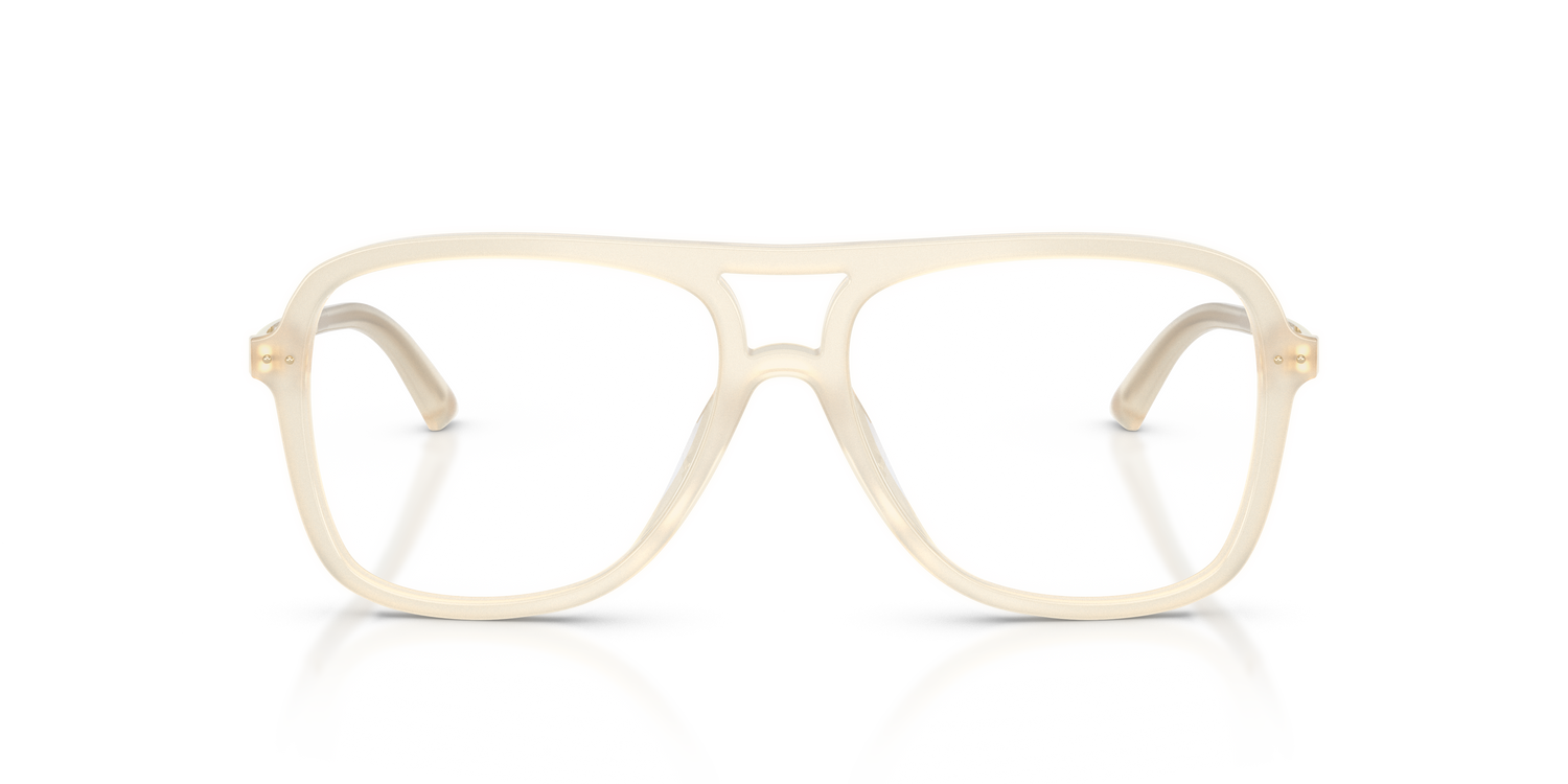 JIMMY CHOO JC3052U 5089 55