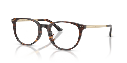 JIMMY CHOO JC3055D 5002 52