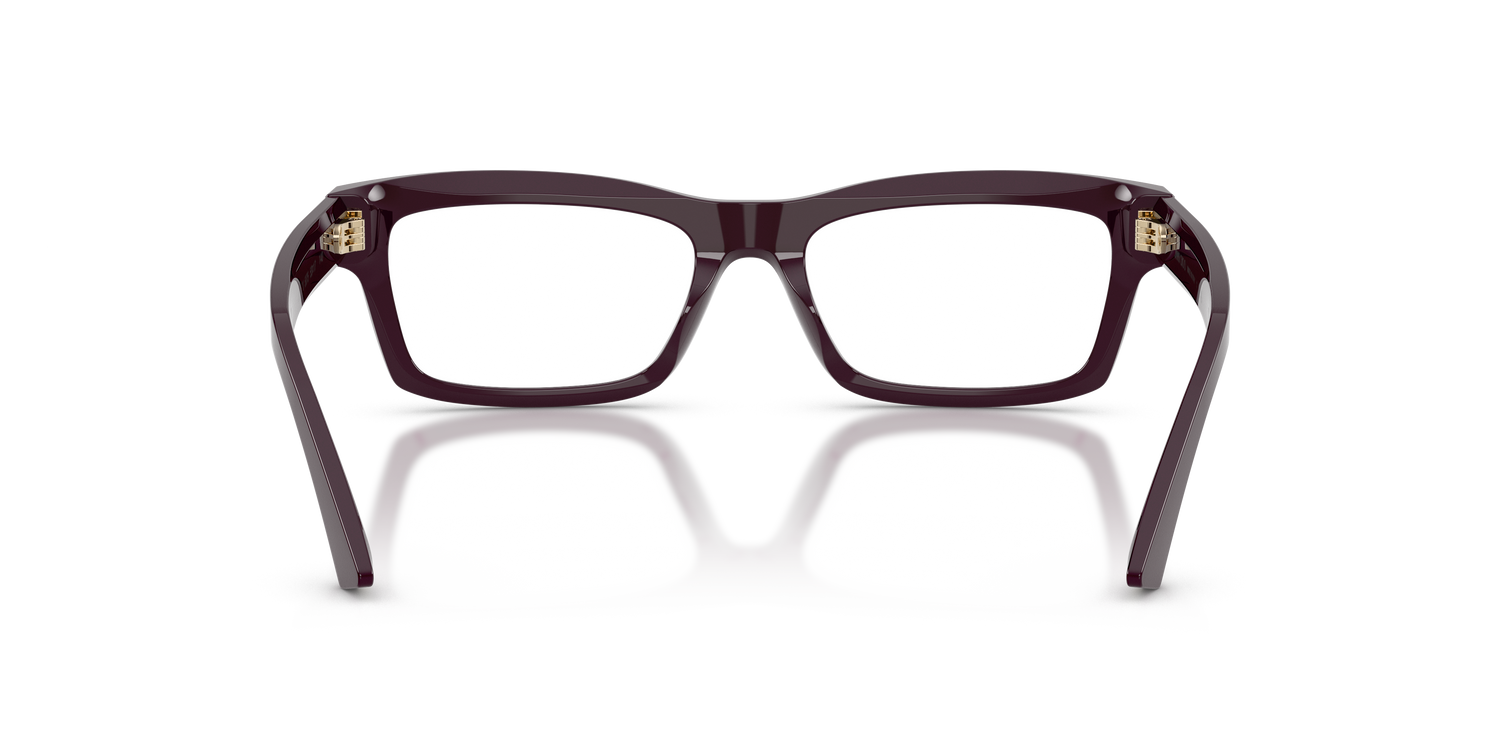 JIMMY CHOO JC3057U 5075 53