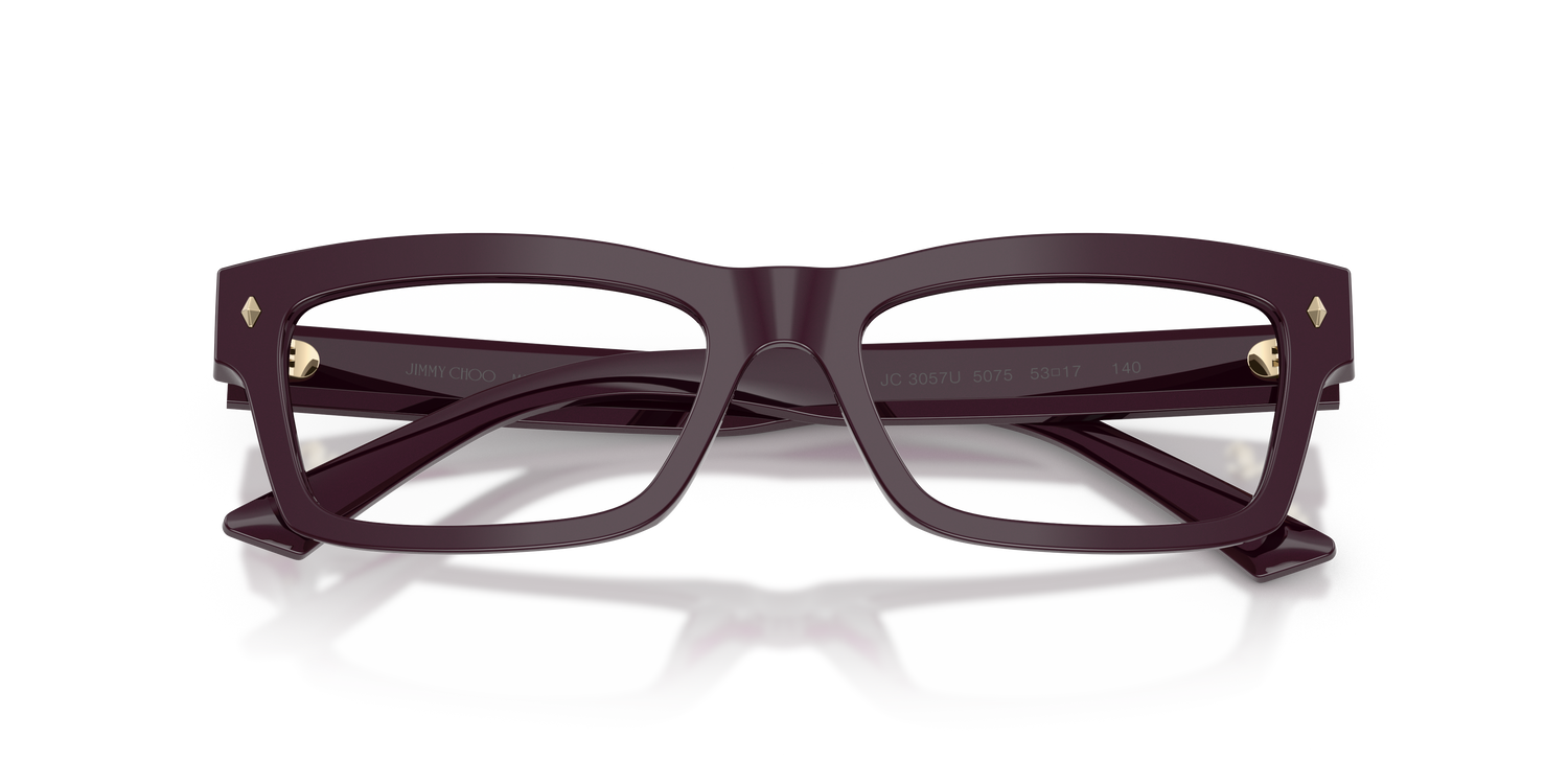 JIMMY CHOO JC3057U 5075 53