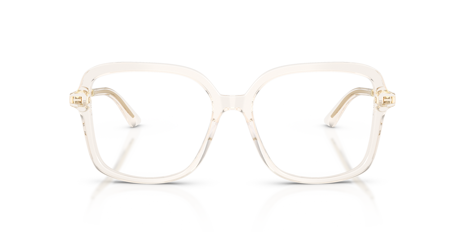 JIMMY CHOO JC3061U 5107 55