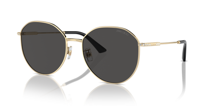 JIMMY CHOO JC4007BD 300687 58