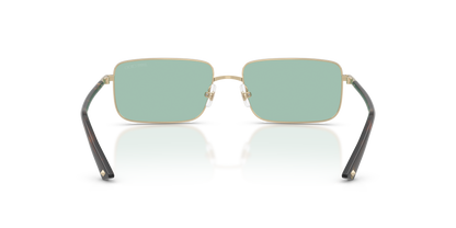 JIMMY CHOO JC4027 3006/2 55