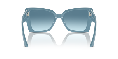 JIMMY CHOO JC5001B 501219 54