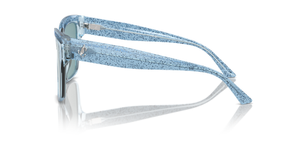 JIMMY CHOO JC5003 50387C 55