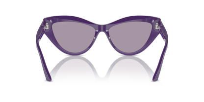 JIMMY CHOO JC5004 50482S 55