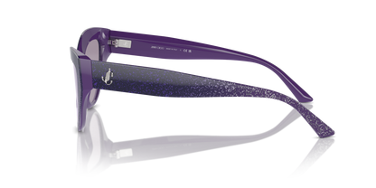 JIMMY CHOO JC5004 50482S 55