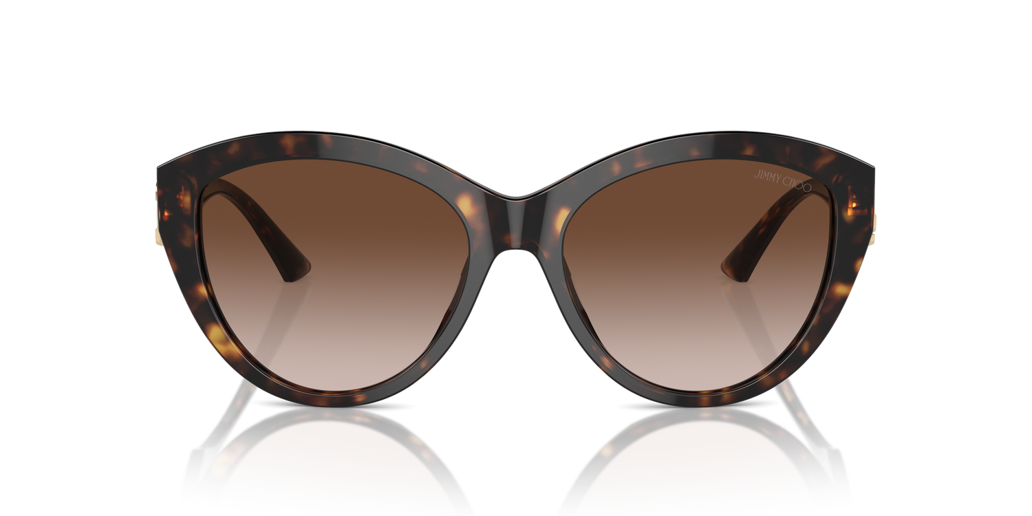 JIMMY CHOO JC5007 500213 55