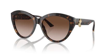 JIMMY CHOO JC5007 500213 55