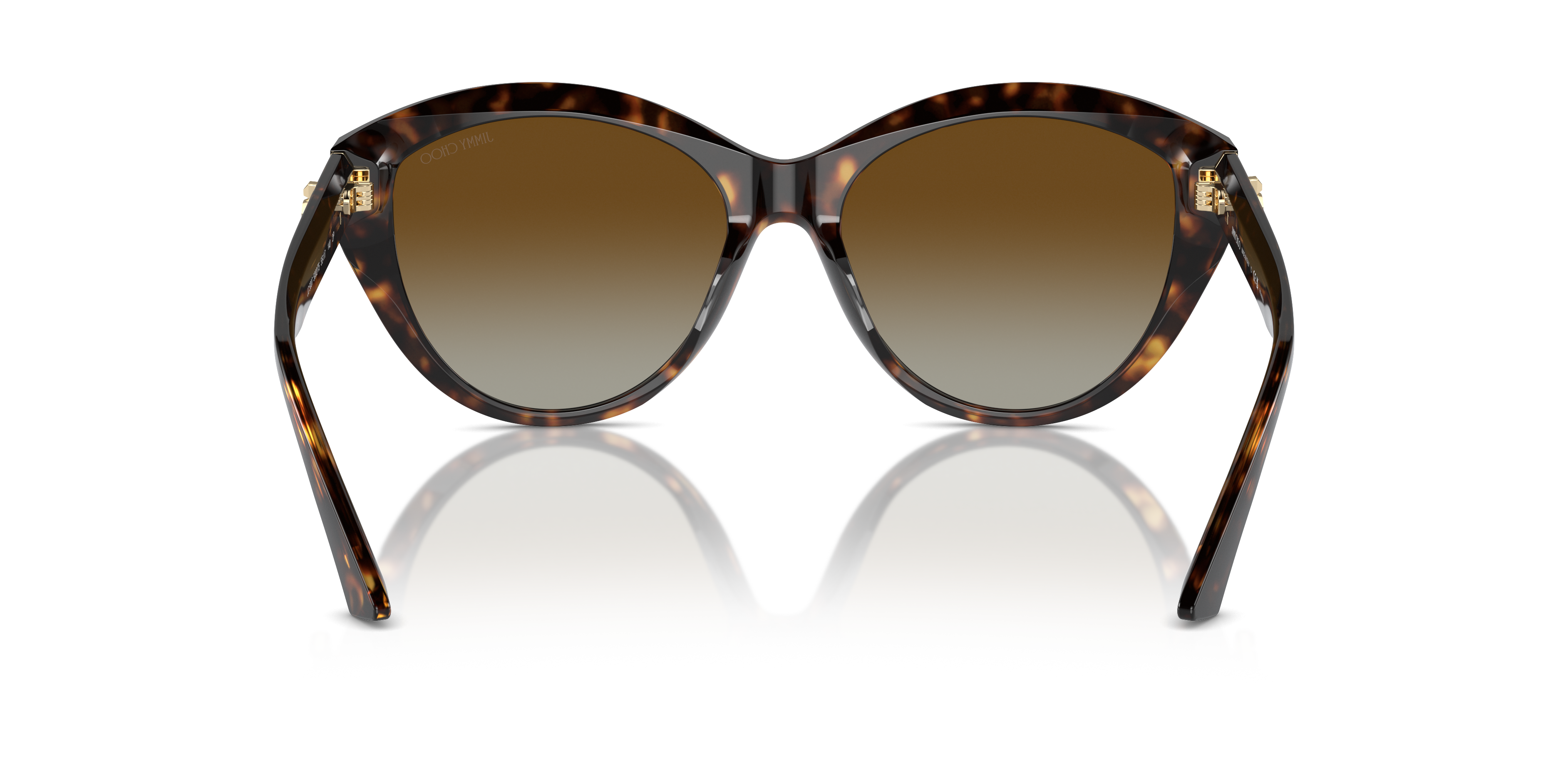 JIMMY CHOO JC5007 5002T5 55