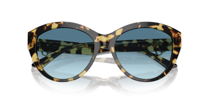 JIMMY CHOO JC5007 500419 55