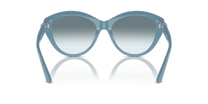 JIMMY CHOO JC5007 501219 55