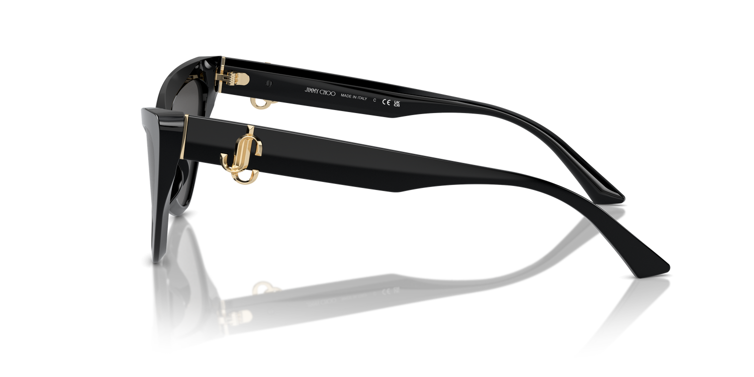 JIMMY CHOO JC5008 500087 55