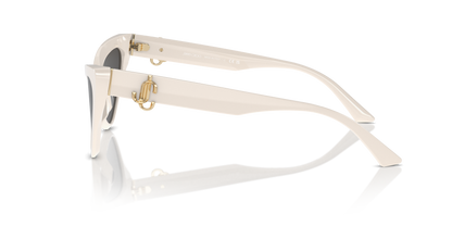 JIMMY CHOO JC5008 500887 55