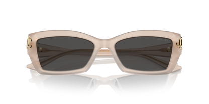 JIMMY CHOO JC5011U 502587 55