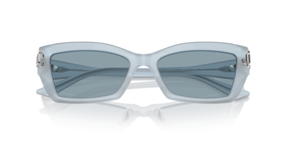 JIMMY CHOO JC5011U 502672 55