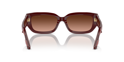 JIMMY CHOO JC5017 50135M 55