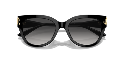 JIMMY CHOO JC5018U 50008G 54