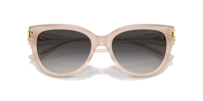 JIMMY CHOO JC5018U 50258G 54