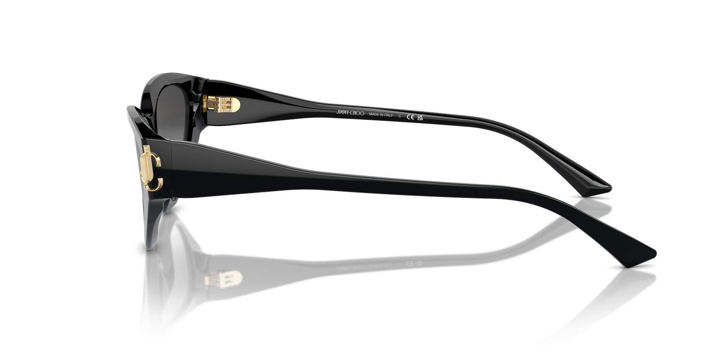 JIMMY CHOO JC5019 50008G 55