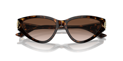 JIMMY CHOO JC5019 500213 55